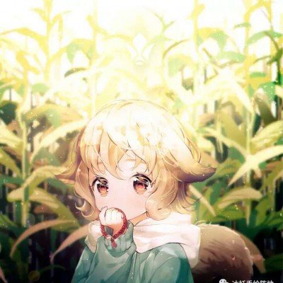 女子无证驾驶 高速狂飙800公里